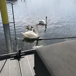 Lägenhet Basalt Am Lehnitzsee *