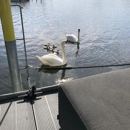 Lägenhet Basalt Am Lehnitzsee *