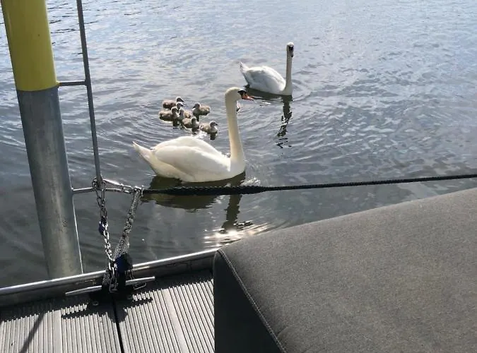 Lägenhet Basalt Am Lehnitzsee *