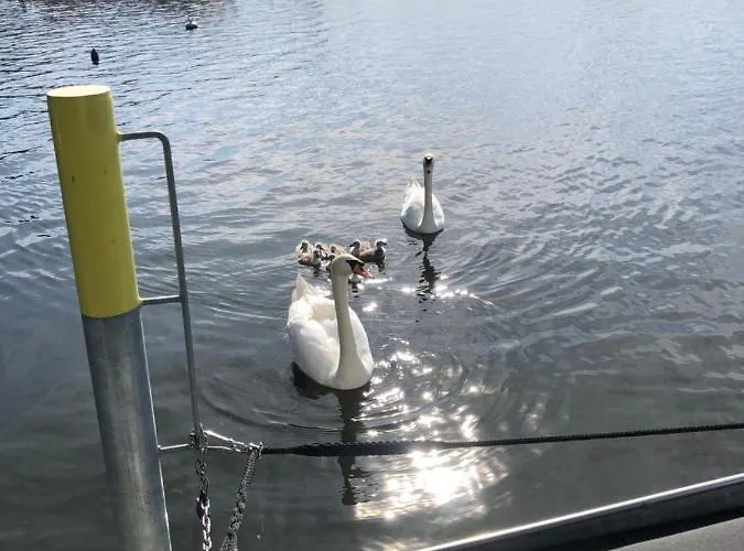 Basalt Am Lehnitzsee Apartamento *